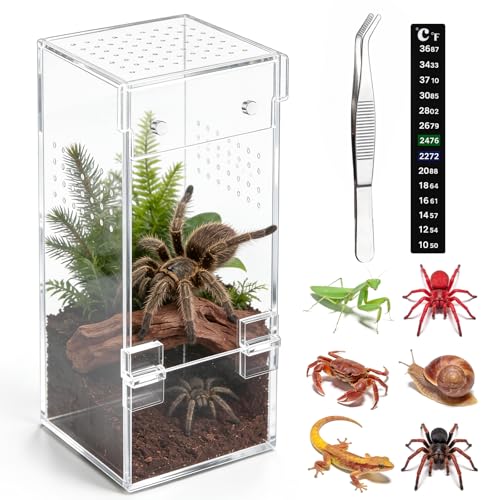 No Assembly 3mm Thick Acrylic Jumping Spider Enclosure,Magnetic Closure Front Door & 3-Side Ventilation, with Tweezers & Thermometer Strips,Ideal for Reptile Tank,Snail,Insect, and Tarantula Habitat - size: Habitat+Tweezers+Temperature strip