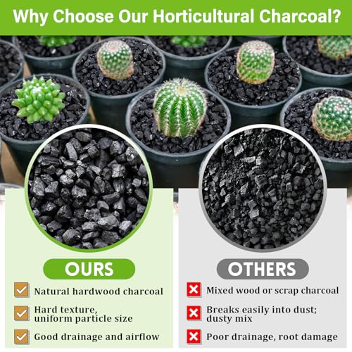 Legigo 8QT All Natural Horticultural Charcoal- Activated Hardwood Plant Charcoal for Soil Amendment, Conditioning Bonsai Soil, Succulent Soil, Terrarium Supplies, Indoor Plant Potting Soil - color: 8 QT
