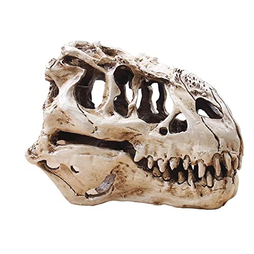 T-Rex Skull Dinosaur Resin Craft Gifts Home Decor Replica Fish Tank Statue Tyrannosaur Skull Skeleton Aquarium Decoration (B) - color: B