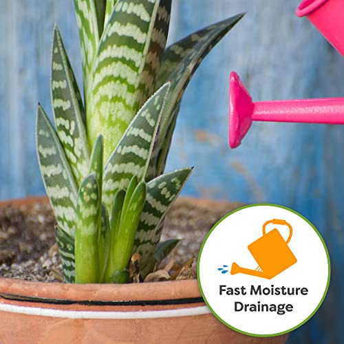 Perfect Plants Organic Snake Plant Soil in 8qt. Bag | Coco Coir Based Potting Mix Snake Plant Varieties - size: 8qt.