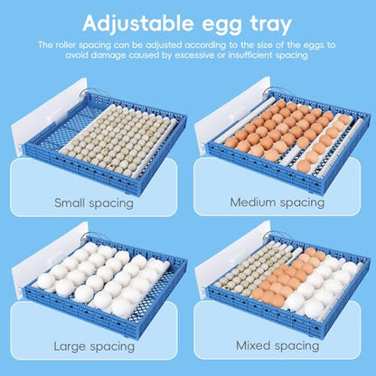 120 Egg Incubator with Automatic Egg Turner and Digital Control - Poultry Hatcher for Chicken, Duck, Quail Eggs - Ideal for Home, Farm, Educational Use
