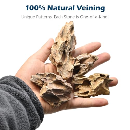 Natural Rocks Dragon Stone 1-2.5 Inches Decorative Rocks for Miniature Terrariums,Fairy Gardens,Bonsai,DIY Crafts, Aquariums Dioramas & Wargaming-1lb - size: 1lb(1-2.5Inch)