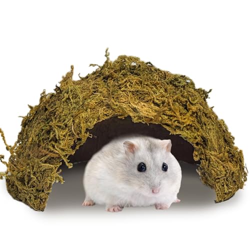 kathson 1Pcs Hamster Hideout, Moss Coconut Hut, Pet Hiding House, Hamster House for Mouse Mice Rat Guinea Pigs Reptiles - size: 1 PCS