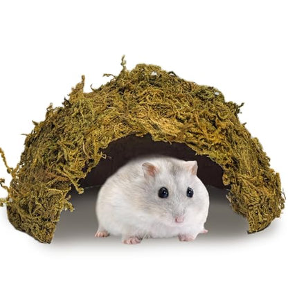 kathson 1Pcs Hamster Hideout, Moss Coconut Hut, Pet Hiding House, Hamster House for Mouse Mice Rat Guinea Pigs Reptiles - size: 1 PCS