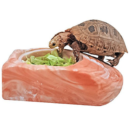 Healthy Herp Tortoise Treat Cactus, Nutritious Turtle Food - 0.25 oz (7.1g) | All Natural, Bearded Dragon Tank Accessories, Tortoise Habitat - for Bearded Dragons, Box Turtles, Aquatic Turtles