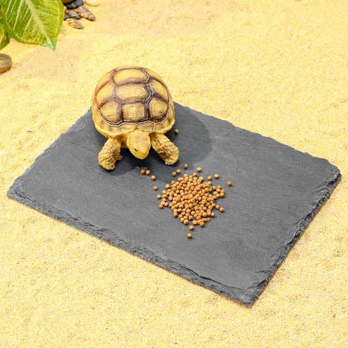 Natural Slate Basking Platform for Reptiles Bearded Dragon Tortoise Turtle Habitat Accessory Heat Retention, Anti-Slip Design, Feeding Tray Functionality, and Superior Water Absorption (8'' x 6'') - size: 8'' x 6''