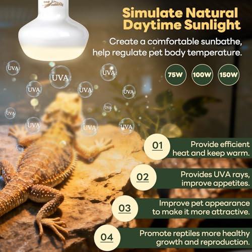 Reptile Heat Lamp, 2 Pack 150W Simulated Natural Sunlight Heat Lamp Bulbs Reptile Warm Light Lamp UVA Daylight Basking Light for Bearded Dragon Chameleon Turtle Snake Leopard Gecko Chicken, White - color: White, size: Day(150)