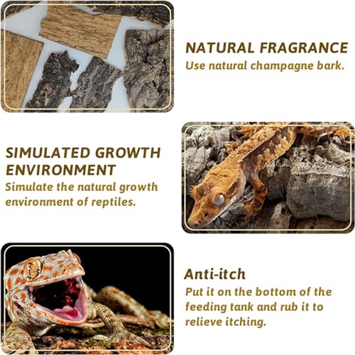 4 PCS Bark Background Natural Cork Backdrop Terrarium Aquarium Fish Tank Bark Reptile Tank Backdrop Spider Lizard Gecko Chameleon Pet