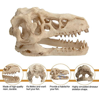 Saim Dinosaur Skull Model Resin Aquarium Decorative Reptile Decor Home Office Display