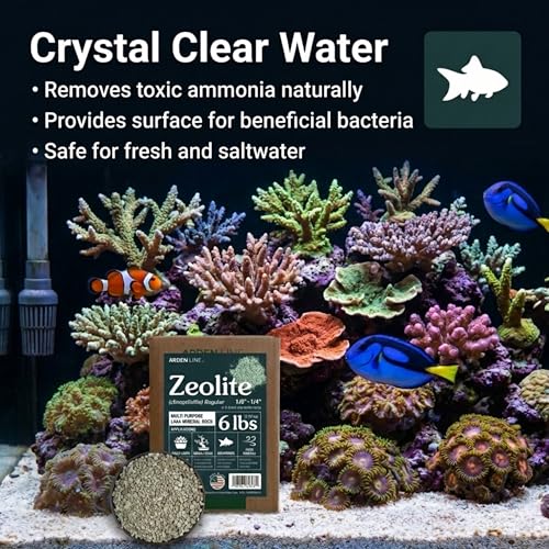 Zeolite Regular 6 lbs, Clinoptilolite 1/8"–1/4" (3–6 mm), Soil Amendment for Succulents, Bonsai & Plants, Improves Drainage and Moisture Balance, Decorative and Aquarium Use - style: Regular - 6 lbs