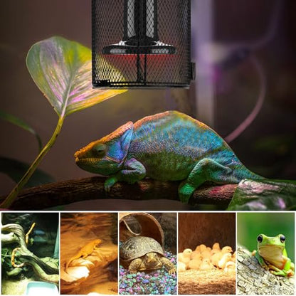 Simple Deluxe Reptile Heat Lamp Cage Heater Guard Anti Scald Mesh Cover, Heating Lamp Lampshade for Lizard Bearded Dragon Turtle Snake Terrarium - size: 1 Pack, style: Lamp Cage