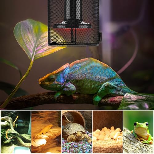 Simple Deluxe 2 Pack Reptile Heat Lamp Cage Heater Guard Anti Scald Mesh Cover, Heating Lamp Lampshade for Lizard Bearded Dragon Turtle Snake Terrarium - size: 2 Pack, style: Lamp Cage