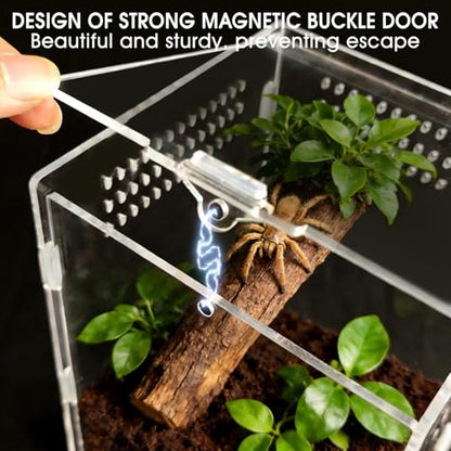 Jumping Spider Enclosure, Acrylic Terrarium(Tweezer and Bowl Included) | Easy-Clean Habitat with Magnetic Door for Spider, Tarantula, Mantis, Snail-5.9" x 5.9" x 9.8" - size: Basic Vertical-Kit