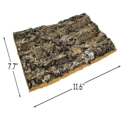 4 PCS Bark Background Natural Cork Backdrop Terrarium Aquarium Fish Tank Bark Reptile Tank Backdrop Spider Lizard Gecko Chameleon Pet