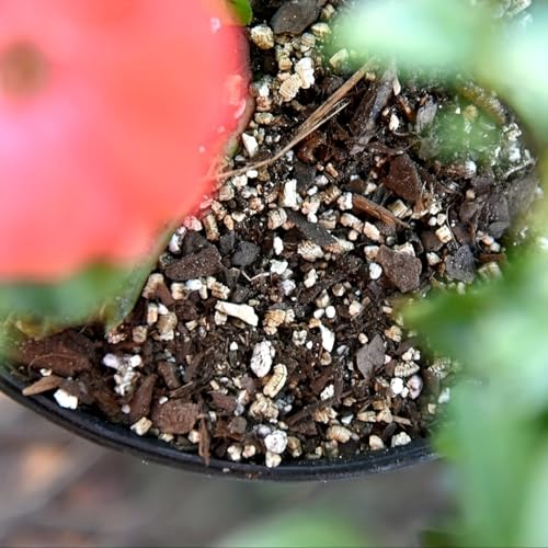 1lbs/2lbs Horticultural Vermiculite Bulk,Organic Vermiculite for Plants,Hydroponics, Terrariums, Orchids, Mushroom Or Reptile Habitats (2lb) - size: 2lb