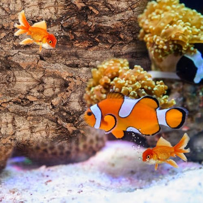 POPETPOP Terrarium Bark Background 3-Pack Natural Cork Aquarium Decor Reptile Tank Accessory 7.87X3.93X0.47In Reusable Bark Wall for Bearded Dragon Fish Tank Background
