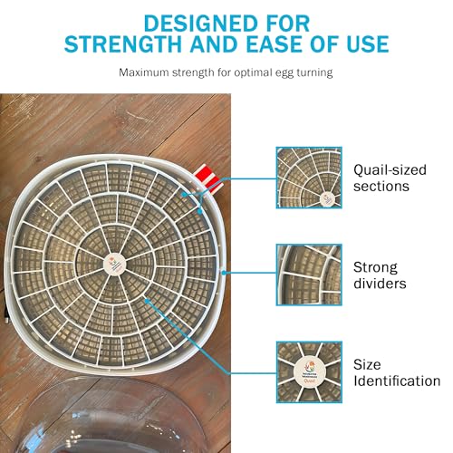 Egg Trays for 48 Small Quail/Bird Eggs - Durable Egg Tray for Nurture Right 360 Egg Incubator - Hand Washable Eggs Keeper for Chicken Goose Turkey Emu - size: 12.3"L x 12.3"W x 0.7"H
