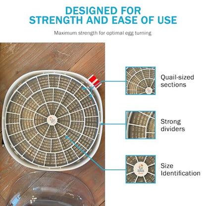 Egg Trays for 48 Small Quail/Bird Eggs - Durable Egg Tray for Nurture Right 360 Egg Incubator - Hand Washable Eggs Keeper for Chicken Goose Turkey Emu - size: 12.3"L x 12.3"W x 0.7"H