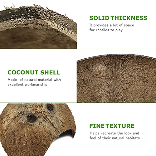 Hamiledyi Reptile Hideouts Natural Coconut Shells Hut Hermit Crab Climbing Toys and 4 Pcs Humid Hide for Leopard Gecko Moist Reptile Hide Box for Spider Snake Chameleon