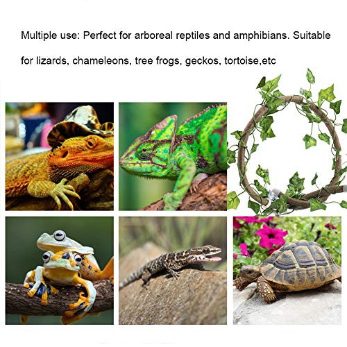 flexman Reptile Vines, Plants Flexible Bendable Jungle Climbing Vine, Vines Habitat Decor with Suction for Bearded Dragons Lizards Geckos Snakes Frogs (Green) - size: Rattan + green radish leaves