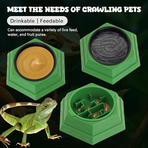 Reptile Feeder Bowl Worm Dish Anti-Escape Food Dish Bowl with 2PCS Feeding Box, Food Water Feeder for Crested Gecko Lizard Chameleon Pets, Reptile Terrarium Tank Accessories (S) - size: S