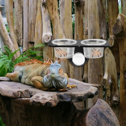 balacoo Reptile Feeder Food and Water Bowl with Suction Cup Wall Mounted Acrylic Dish for Gecko Lizard Turtle Scorpion Small Reptiles Amphibians 4.52X2.36X2.16In