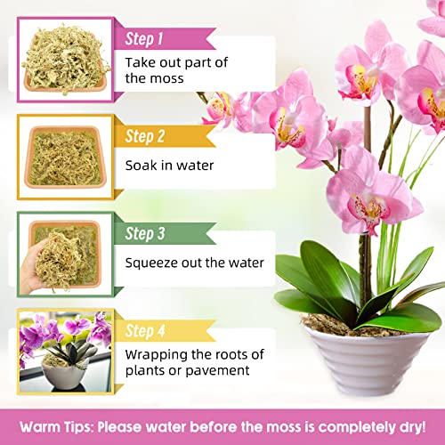 Legigo 10OZ Premium Sphagnum Moss for Plants 12QT Natural Long Fiber Moss Dried, Plant Moss for Orchid Repotting, Potted Plants, Succulents, Reptiles - color: 12 QT(Appx.10oz)