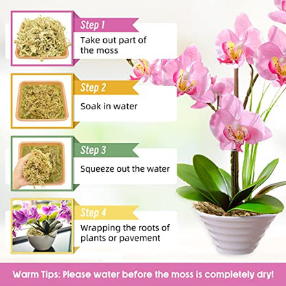 Legigo 10OZ Premium Sphagnum Moss for Plants 12QT Natural Long Fiber Moss Dried, Plant Moss for Orchid Repotting, Potted Plants, Succulents, Reptiles - color: 12 QT(Appx.10oz)