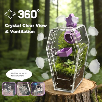 Jumping Spider Enclosure Jumping Spider Enclosure Kit Desktop Habitat Small Reptile Glass Terrarium Insect Accessory Set with Water Container Hiding Area(Blue) - color: Blue
