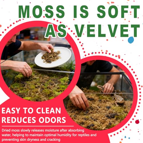 Sphagnum Moss for Reptiles, 1.1LB Terrarium Reptiles Moss Green Dried, Moss Bedding for Turtles, Frogs, Snake, Gecko Reptile Substrate (1.1 LB)