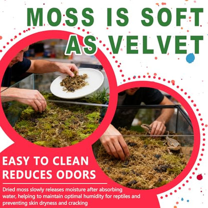 Sphagnum Moss for Reptiles, 1.1LB Terrarium Reptiles Moss Green Dried, Moss Bedding for Turtles, Frogs, Snake, Gecko Reptile Substrate (1.1 LB)