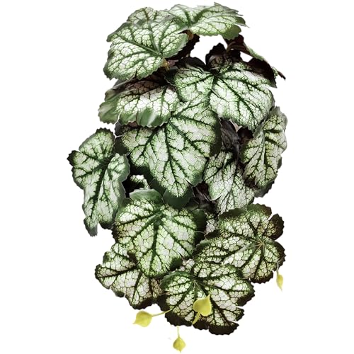 Woyrise Reptile Plants, Terrarium Hanging Plant Vines, Artificial Leaves with Suction Cup, Bearded Dragon Tank Accessories for Gecko Lizard Snake Frog Tortoise Decorations - Green Heuchera - color: B-fake Heuchera Micrantha Green