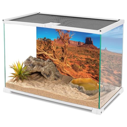 AWERT 30x12 inches Blue Sky Oasis Cactus Sun and Desert Terrarium Background Orange Reptile Habitat Background - size: 30x12in/75x30cm