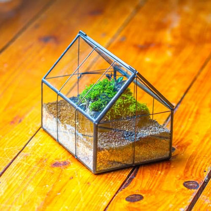 NCYP Mini Glass Terrarium with Lid - 6.1" x 4.25" x 4.92" House Shape Closed Planter for Mini Cactus, Succulents Plant, Moss - Home Garden Office Tabletop Geometric Decor, Black (Terrarium Only) - size: 6.1x4.25x4.92 inches