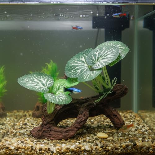 Betta Fish Tank Decor Artificial Driftwood for Aquarium Decorations Plants Driftwood Cave Small Fish Tank Decor Ornaments Accessories