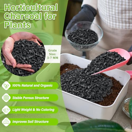 Legigo 8QT All Natural Horticultural Charcoal- Activated Hardwood Plant Charcoal for Soil Amendment, Conditioning Bonsai Soil, Succulent Soil, Terrarium Supplies, Indoor Plant Potting Soil - color: 8 QT