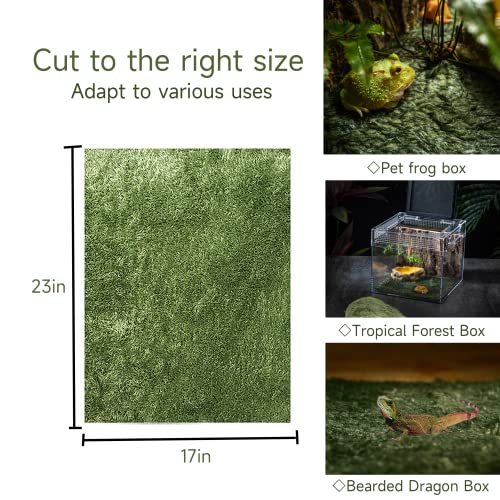 Moss Reptile Carpet, Raise Box Humidity, Fibre Mat for Pet Box Lining, Rainforest Reptile Supplies for Turtles, Lizards, Chameleons, Snakes, Horned Frogs, Bearded Dragons (17" x 24" x 1 Pack)