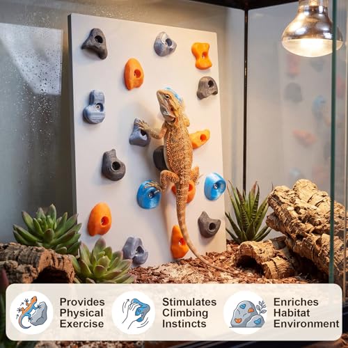 Junkin Reptile Rock Climbing Wall with Climbing Grips, 9.8 x 7.9 Inches Terrarium Enclosure Habitat Decor Reptile Tank Enrichment Accessories for Bearded Dragons, Geckos, Lizards & Snakes