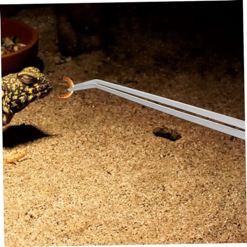 2pcs Heavy-Duty Stainless Steel Reptile Feeding Tongs Curved Aquarium Tweezers for Terrarium Use Long Handle Tweezers for Feeding Lizards and Aquatic Plants
