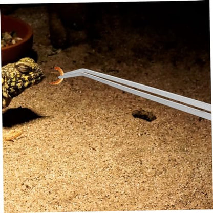 2pcs Heavy-Duty Stainless Steel Reptile Feeding Tongs Curved Aquarium Tweezers for Terrarium Use Long Handle Tweezers for Feeding Lizards and Aquatic Plants