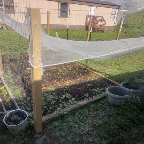 Garden Anti-Hail Netting for Veg Patch, 0.5cm Fine Insect Mesh for Plant Protection Pond Fruit Cage Flowers and Row Crops, Reusable, Various Sizes(2x10m) - size: 2x10m