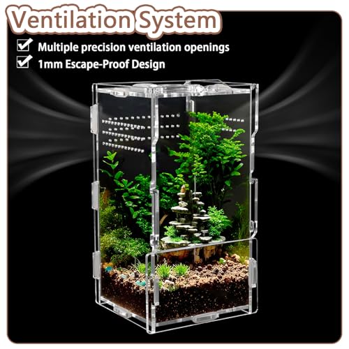 Jumping Spider Enclosure Acrylic Terrarium 8x4x4 - color: Transparency-Basic