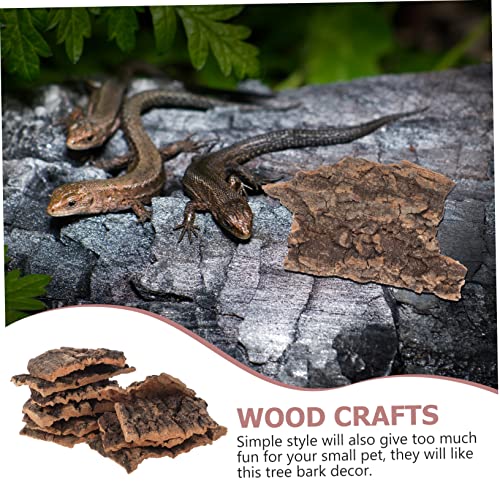 Mipcase 10pcs Cork Bark for Terrarium Reptile Tank Decor Turtle Platform Natural Reptile Tree Bark Set