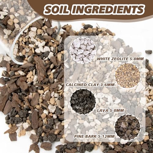 Sukh 14.5 OZ Succulent Potting Mix - Pre-Mixed Ready to Use Bonsai & Orchid Soil Blend with Pine Bark, Zeolite, Calcined Clay & Black Lava for Improved Drainage, Aeration and Nutrient Retention