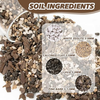 Sukh 14.5 OZ Succulent Potting Mix - Pre-Mixed Ready to Use Bonsai & Orchid Soil Blend with Pine Bark, Zeolite, Calcined Clay & Black Lava for Improved Drainage, Aeration and Nutrient Retention