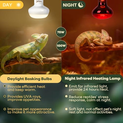 Reptile Heat Lamp Bulbs, 2 Pack 75W Reptile Heat Bulbs UVA Daylight Basking Bulb and Infrared Heat Lamp Red Night Light Bulb Combo for Bearded Dragon Chameleon Turtle Snake Gecko Lizard Chicken Tank - color: White & Red, size: Day & Night-75