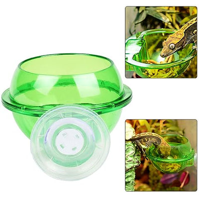 Reptile Bowl Feeder Water Dish Gecko Ledge Suction Cup Accessories for Gecko Lizard Snakes