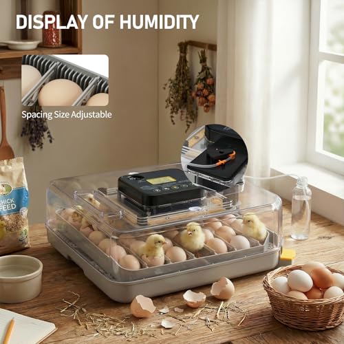 Winado Incubators for Hatching Eggs, 48 Egg Incubator with Automatic Egg Turning, Temperature & Humidity Control, Egg Candler, Automatic Water Filling and Day Counter for Eggs Hatching