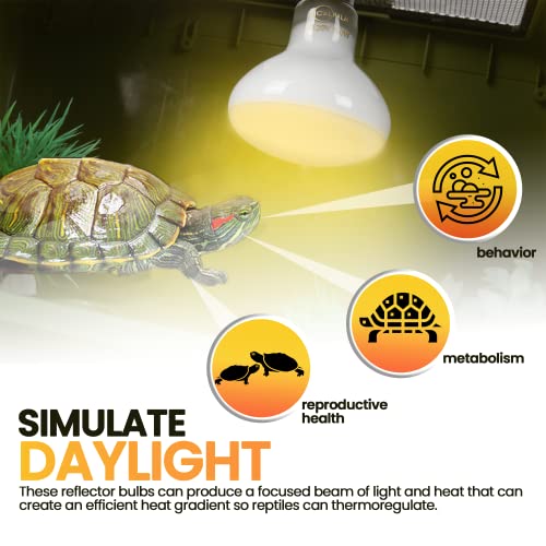 CALPALMY (4-Pack 100W Reptile Heat Lamp Bulbs - UVA Daylight Basking Light Bulbs for Reptiles, Turtles, Lizard, Bearded Dragon and Amphibians - 120V R80 Reflector Bulbs with E26 Screw Cap Base