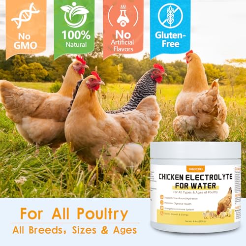 Yakucho Chicken Electrolytes for Water, Poultry Vitamins with Probiotics, Hydration, Immunity & Digestive Support, for Chicks, Adult Birds, Chickens, Ducks & Turkeys, 8.8oz Chicken Supplement Powder